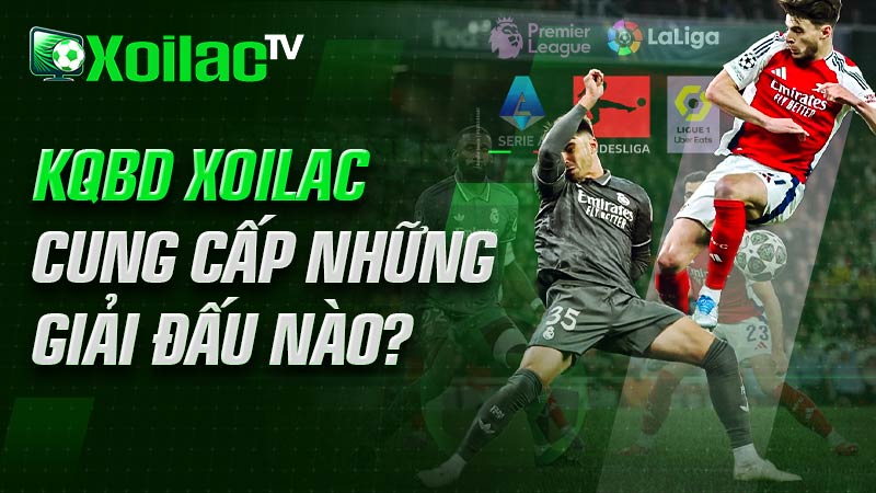 Những giải đấu mà kqbd xoilac tv cung cấp cho người xem Những giải đấu mà kqbd xoilac tv cung cấp cho người xem